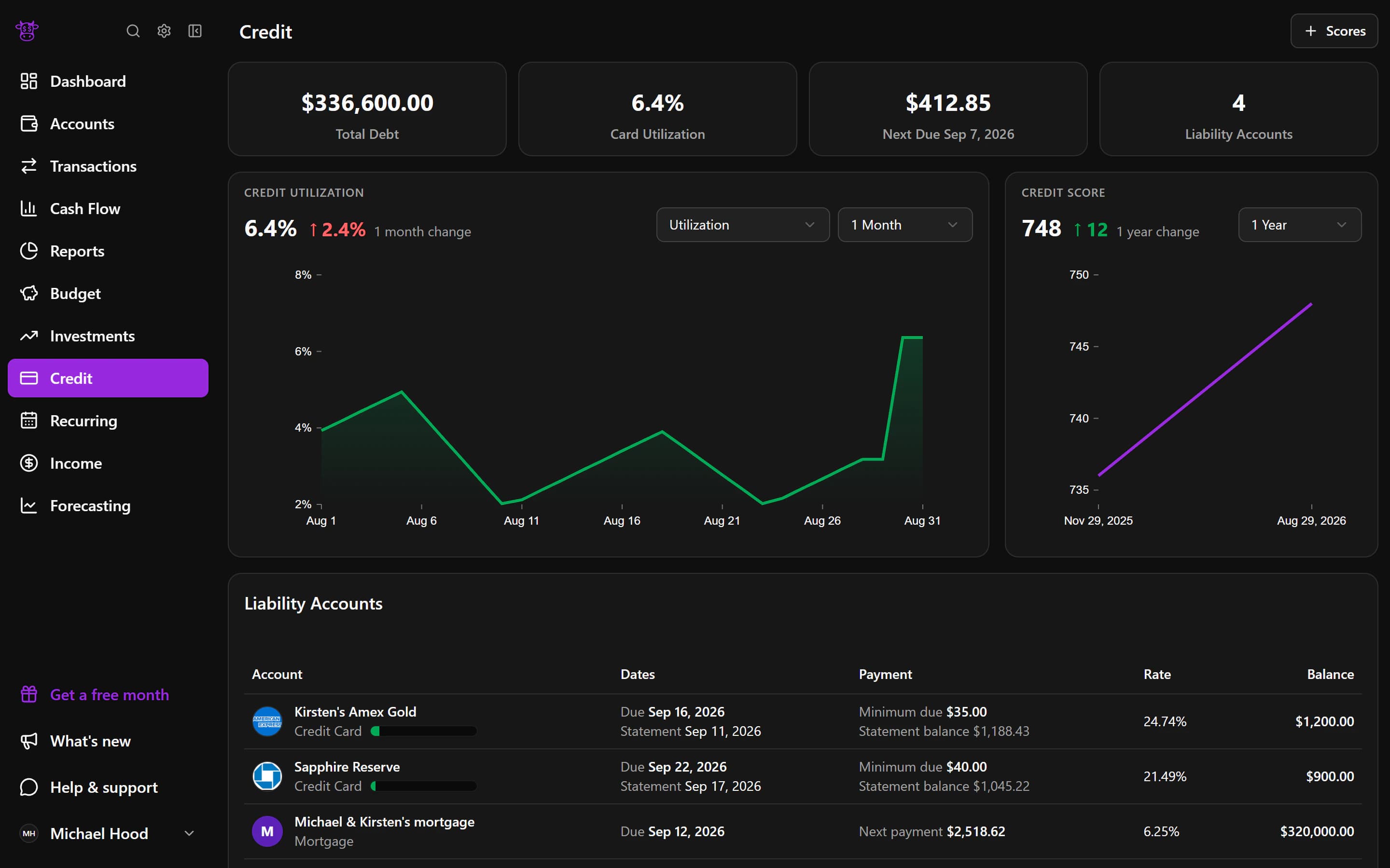 An anonymized Moo Money credit and debt overview