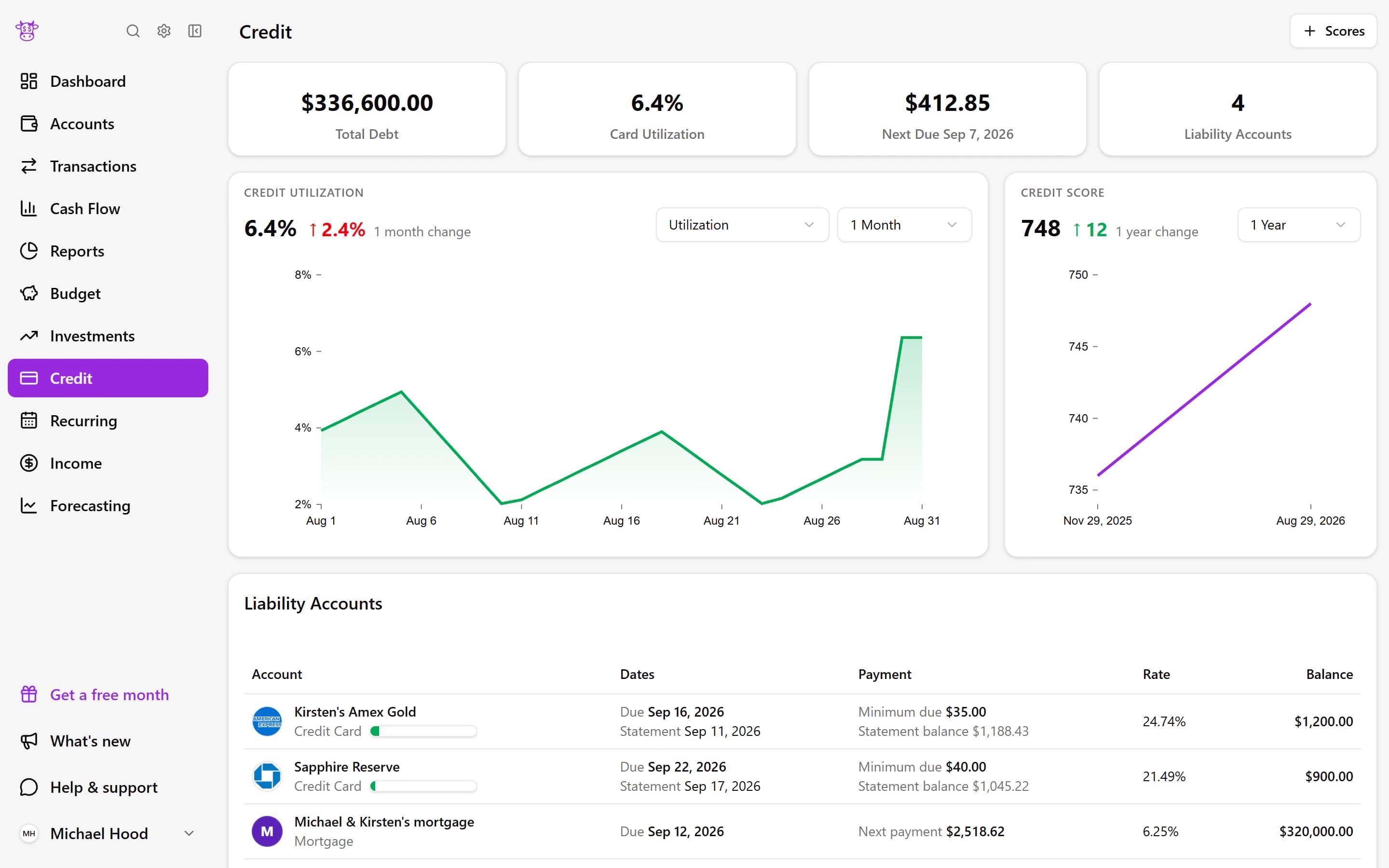 An anonymized Moo Money credit and debt overview